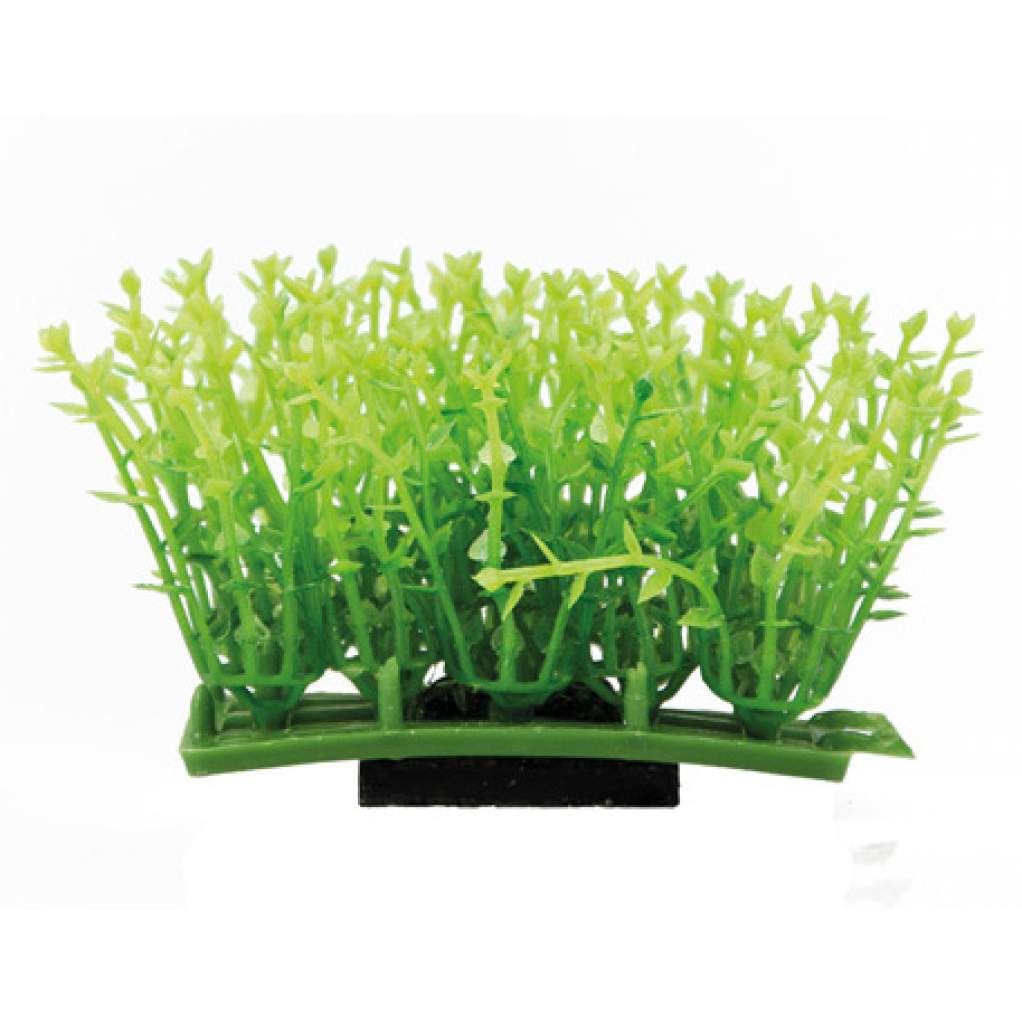 Plant Pad